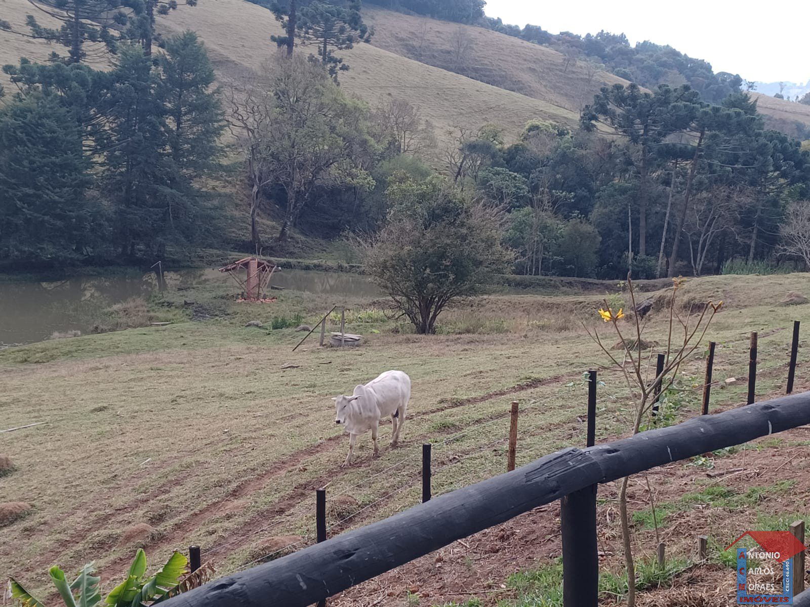 Imagem do WhatsApp de 2025-05-29 à(s) 17.50.00_397ca630