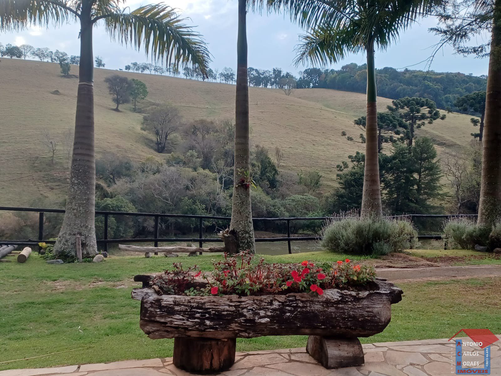 Imagem do WhatsApp de 2025-05-29 à(s) 17.50.01_d9161f5e