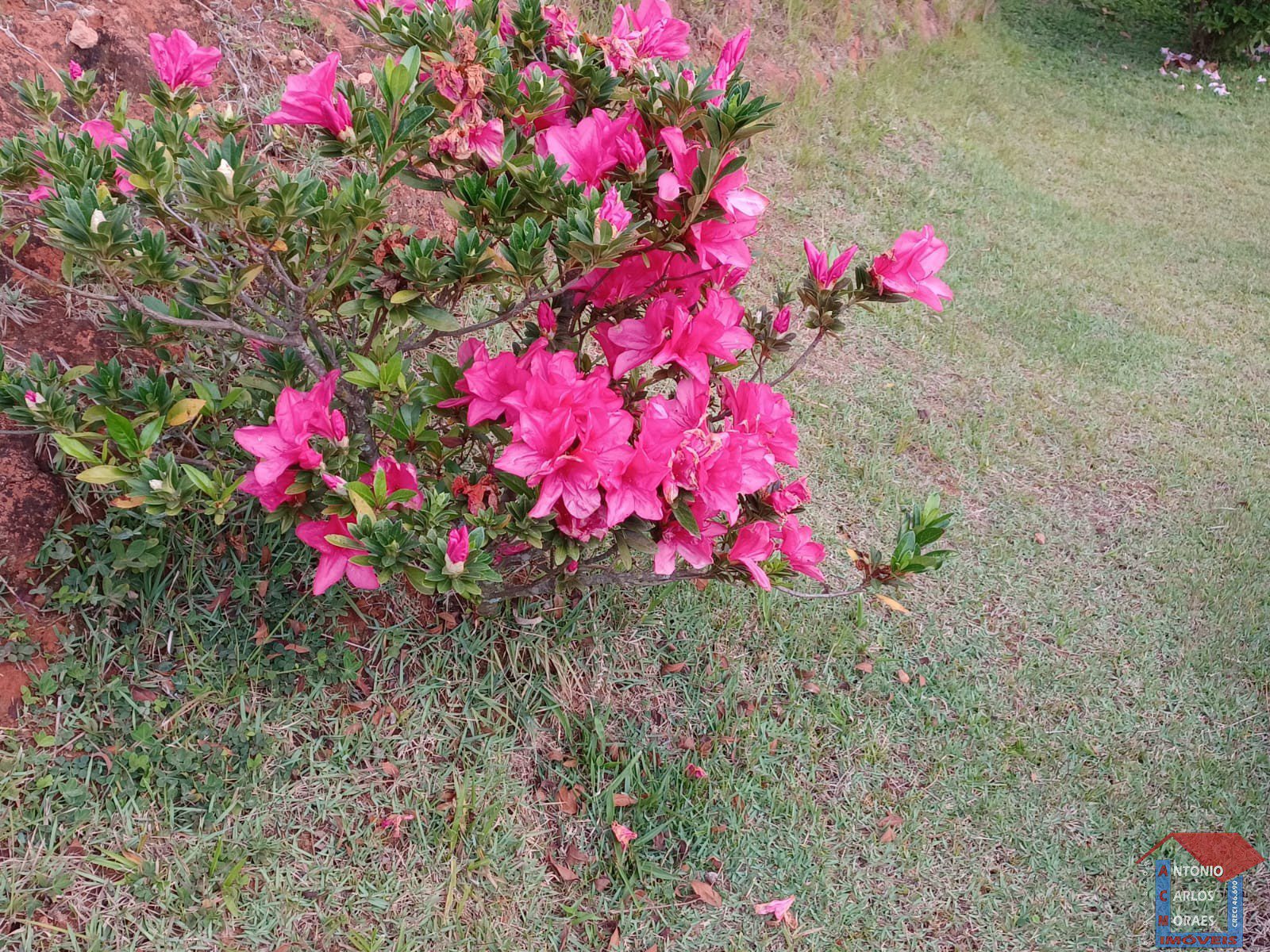 Imagem do WhatsApp de 2025-05-29 à(s) 17.50.02_57ade746