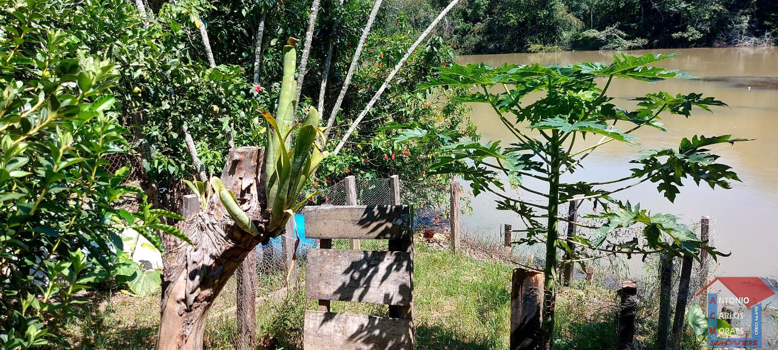 Imagem do WhatsApp de 2025-05-29 à(s) 17.54.18_c20d228a